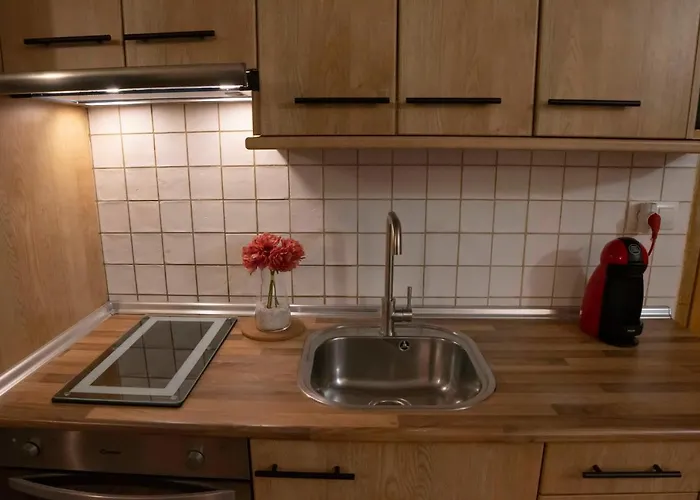 Apartamentos Erlueta